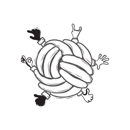 Instagram Ads Management