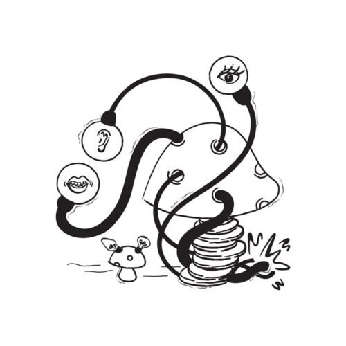 500 Hyper Targeted (B2C) Leads